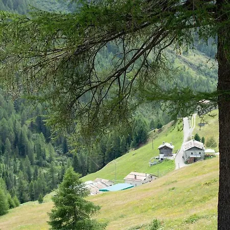 Italianway - Campo Di Val Viola *
